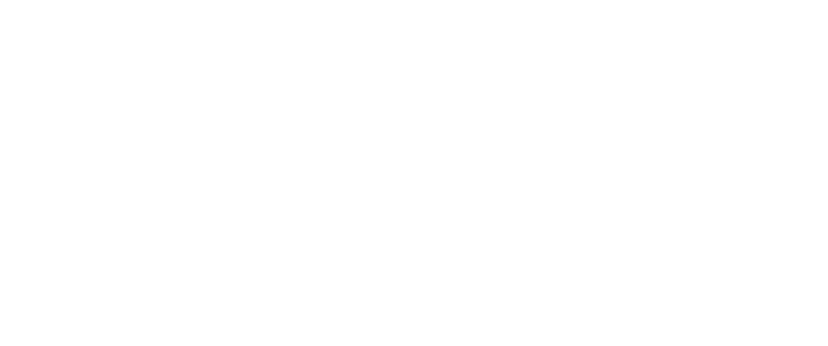 Andressa Revoredo