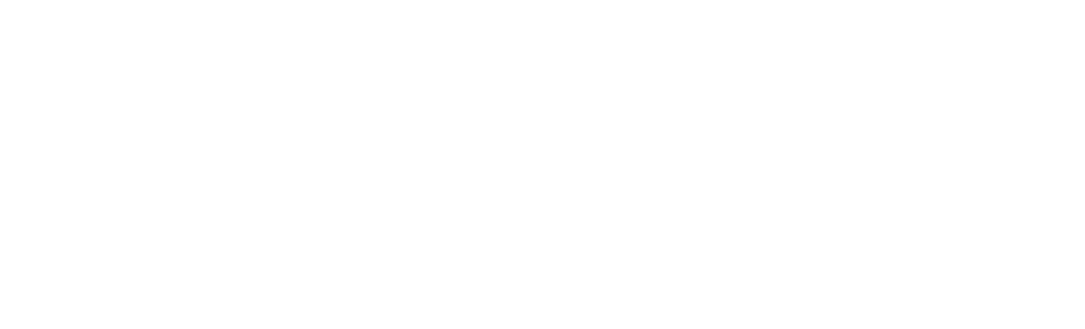 Vida Medicina Veterinária Especializada