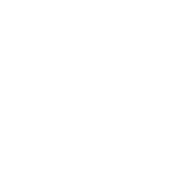 BFI Cursos